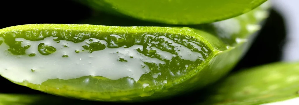 Aloe Vera Gel