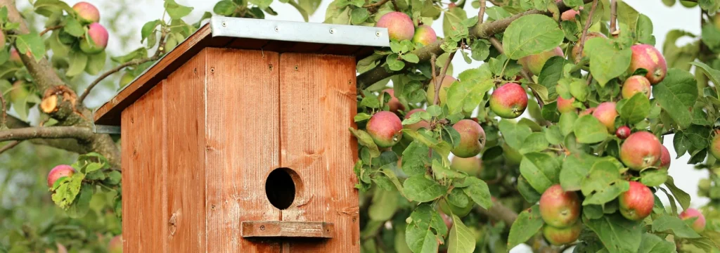 Ein Holz-Vogelhaus, das an einem Apfelbaum hängt, umgeben von reifen Äpfeln und grünem Laub, ideal für die Vogelbeobachtung.