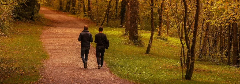 Zwei Personen gehen auf einem Waldweg in einer herbstlichen Umgebung mit bunten Blättern.