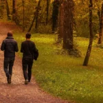 Zwei Personen gehen auf einem Waldweg in einer herbstlichen Umgebung mit bunten Blättern.